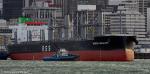 ID 14105 NORSE NAKAJIMA (2025/IMO 9986257/26272gt/42462dwt) - delivered by her Chinese builders Tsuneishi Shipbuilding on 1 August, the Panamanian-registered bulk carrier sails from Auckland bound for New...